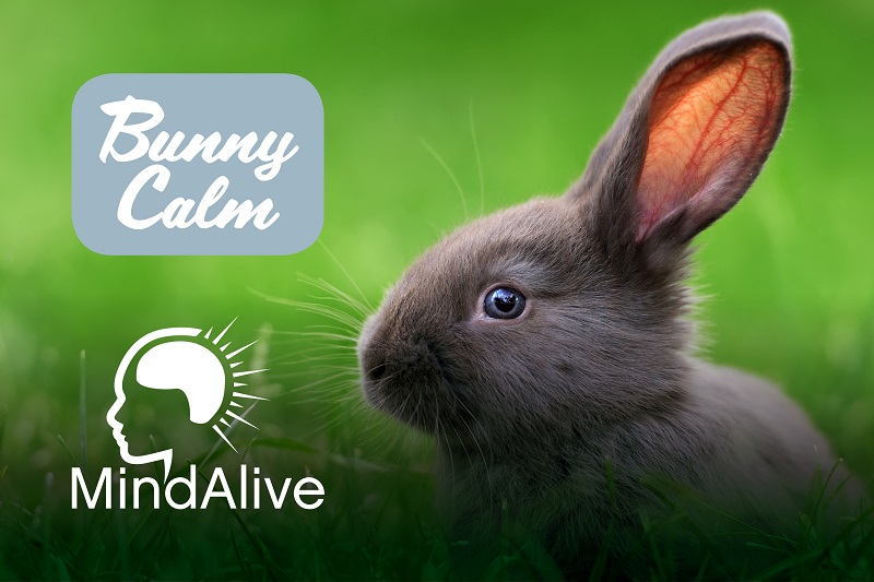 Bunny Calm